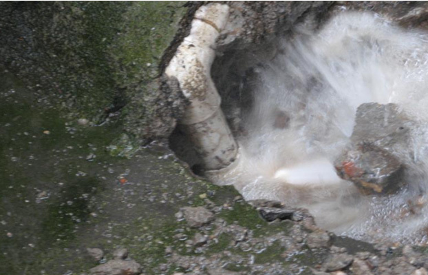 1658797761145299.jpg 592a0172-5a8b-4c76-92e9-ca196ed28319.jpg